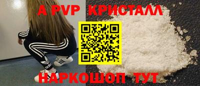 СК Новокубанск