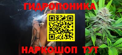 мяу мяу мука Нальчик