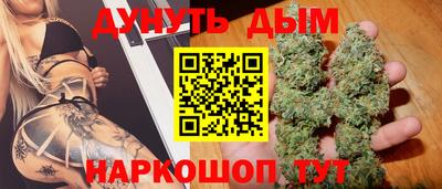 СК Новокубанск