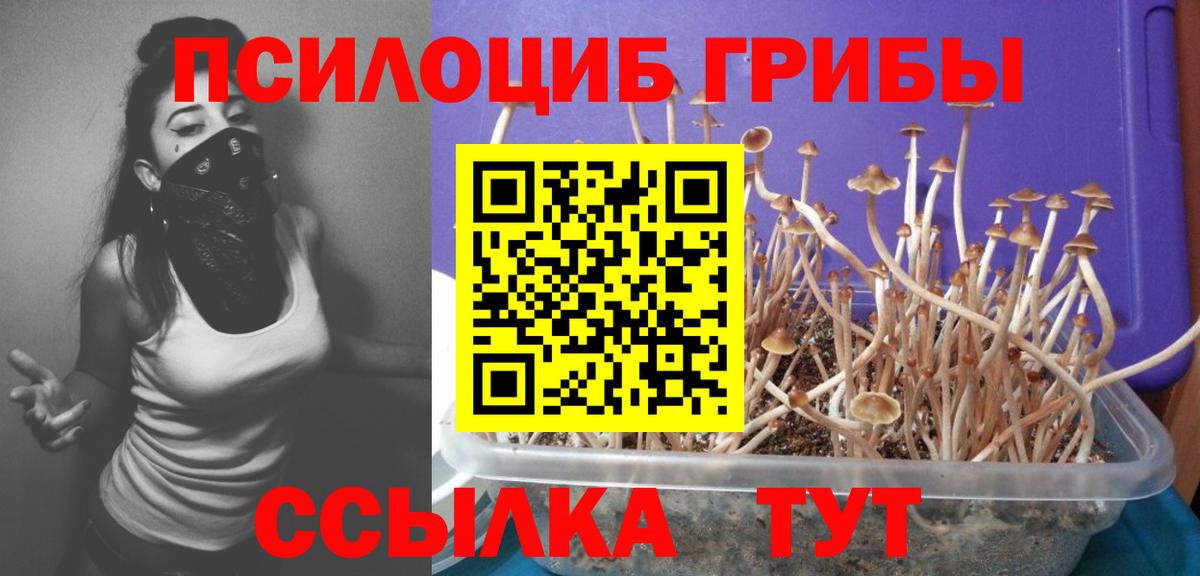 Галлюциногенные грибы GOLDEN TEACHER Чебаркуль